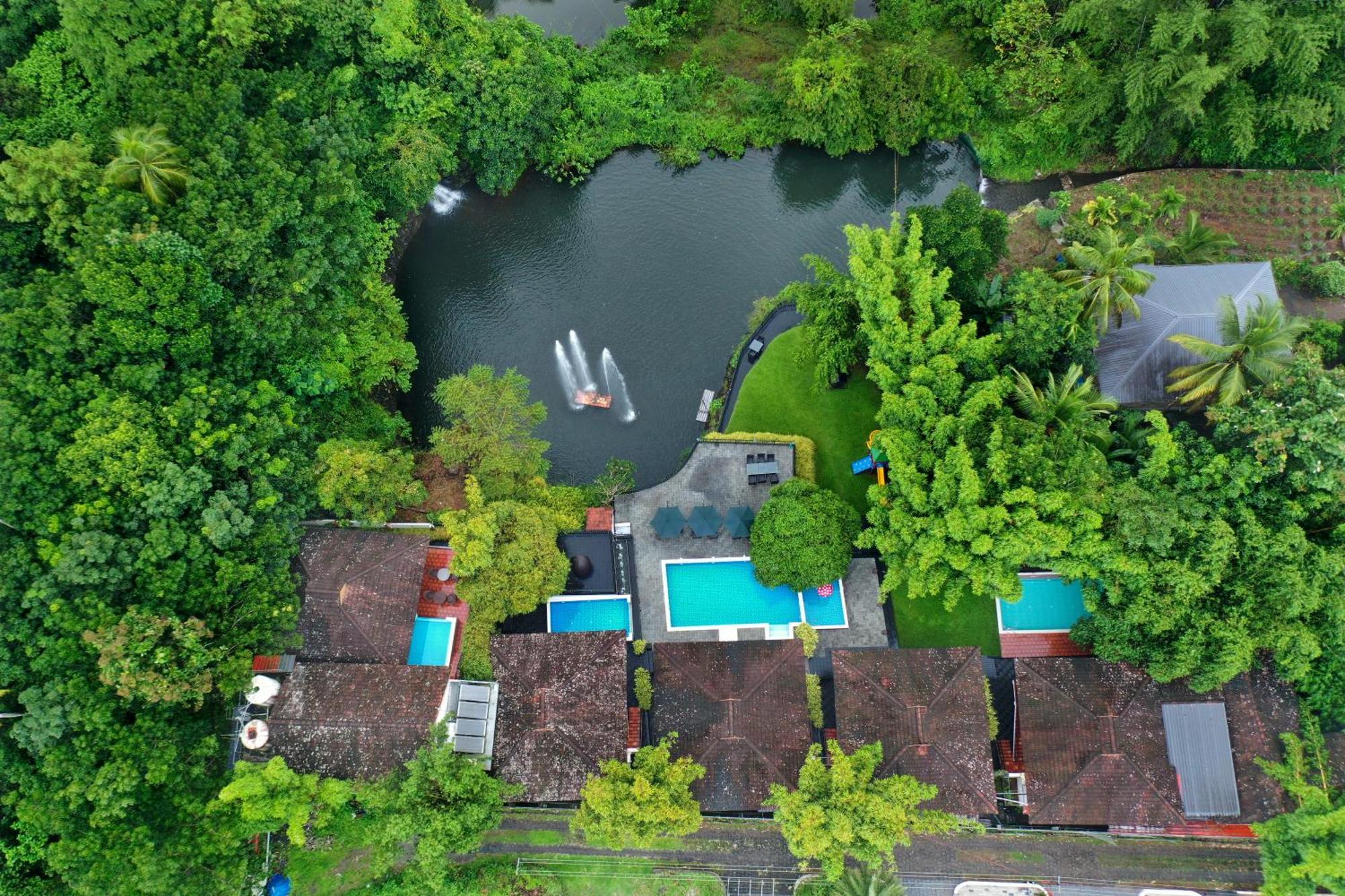 Athirapally Green Trees Athirappilly Εξωτερικό φωτογραφία
